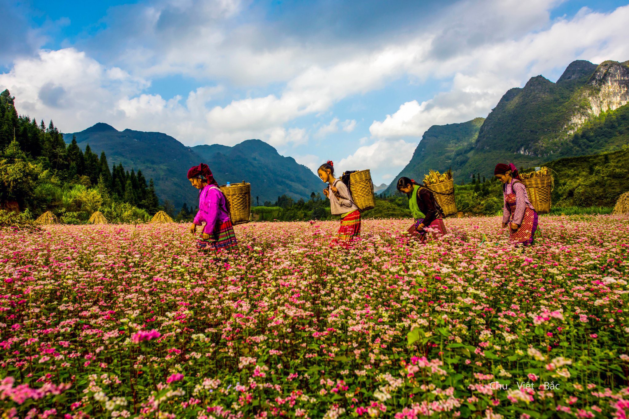 Du lịch Hà Giang có gì thú vị?